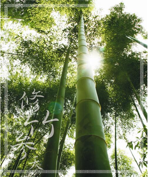 視頻新聞