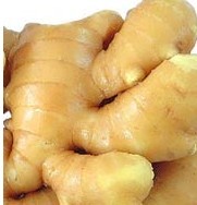 常寧無渣生姜