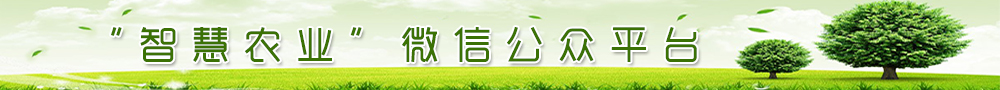 專題專欄